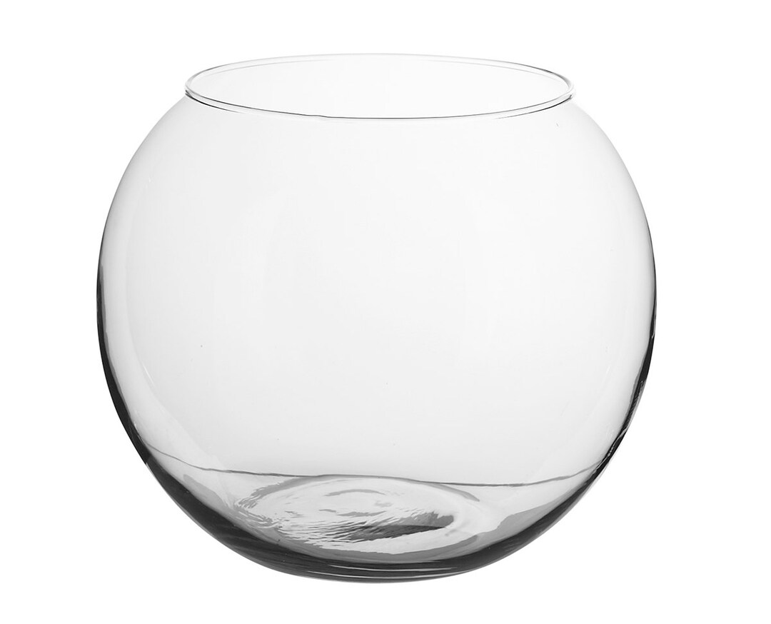 12 Pack of Hand Blown Glass Bubble Bowls Air Plant Terrarium Wholesale