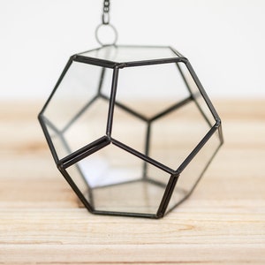 Glass Pentagon Terrarium - Tillandsia Hanging Air Plant Container - FAST SHIPPING - Air Plant Display - Succulent Container
