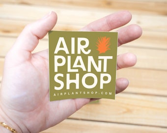 Air Plant Shop Vinyl Brand Sticker 3X3 Inches - FAST SHIPPING - Air Plant Shop Merchandise