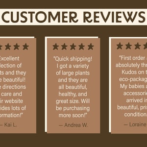 Peut inclure: Trois avis clients avec cinq &eacute;toiles pour une boutique de plantes. Les avis mettent en avant l'excellente s&eacute;lection de plantes, la rapidit&eacute; de livraison et l'emballage &eacute;cologique.