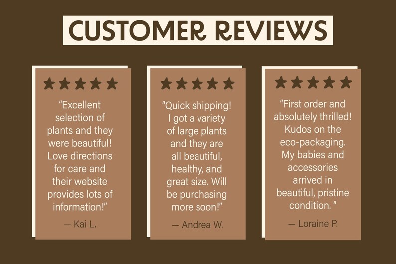 Peut inclure: Trois avis clients avec cinq &eacute;toiles pour une boutique de plantes. Les avis mettent en avant l'excellente s&eacute;lection de plantes, la rapidit&eacute; de livraison et l'emballage &eacute;cologique.