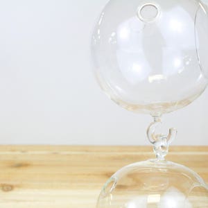 1 Hand Blown Glass Globe Terrarium with Double Hooks - Hanging Air Plant Terrarium - FAST SHIPPING