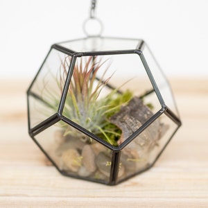 DIY Glass Pentagon Terrarium - Add Tillandsia Air Plants and River Rocks with Moss - Air Plant Holder - Container - Display - FAST SHIPPING