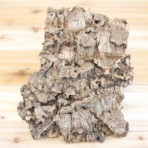 May include: A piece of natural cork bark with a rough, textured surface. The bark is a light brown color with some darker brown areas.