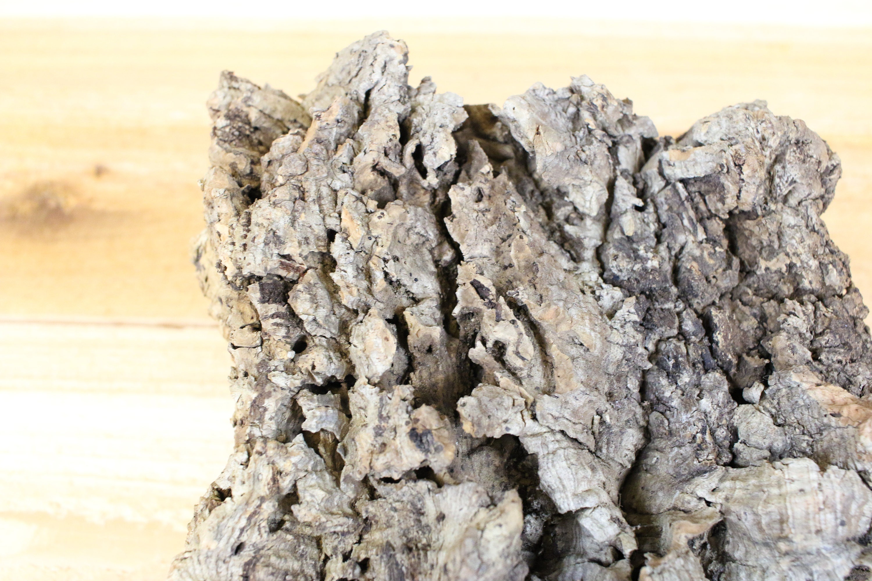 24 Lbs Cork Bark Slabs for Air Plants & Bromeliads Free Etsy