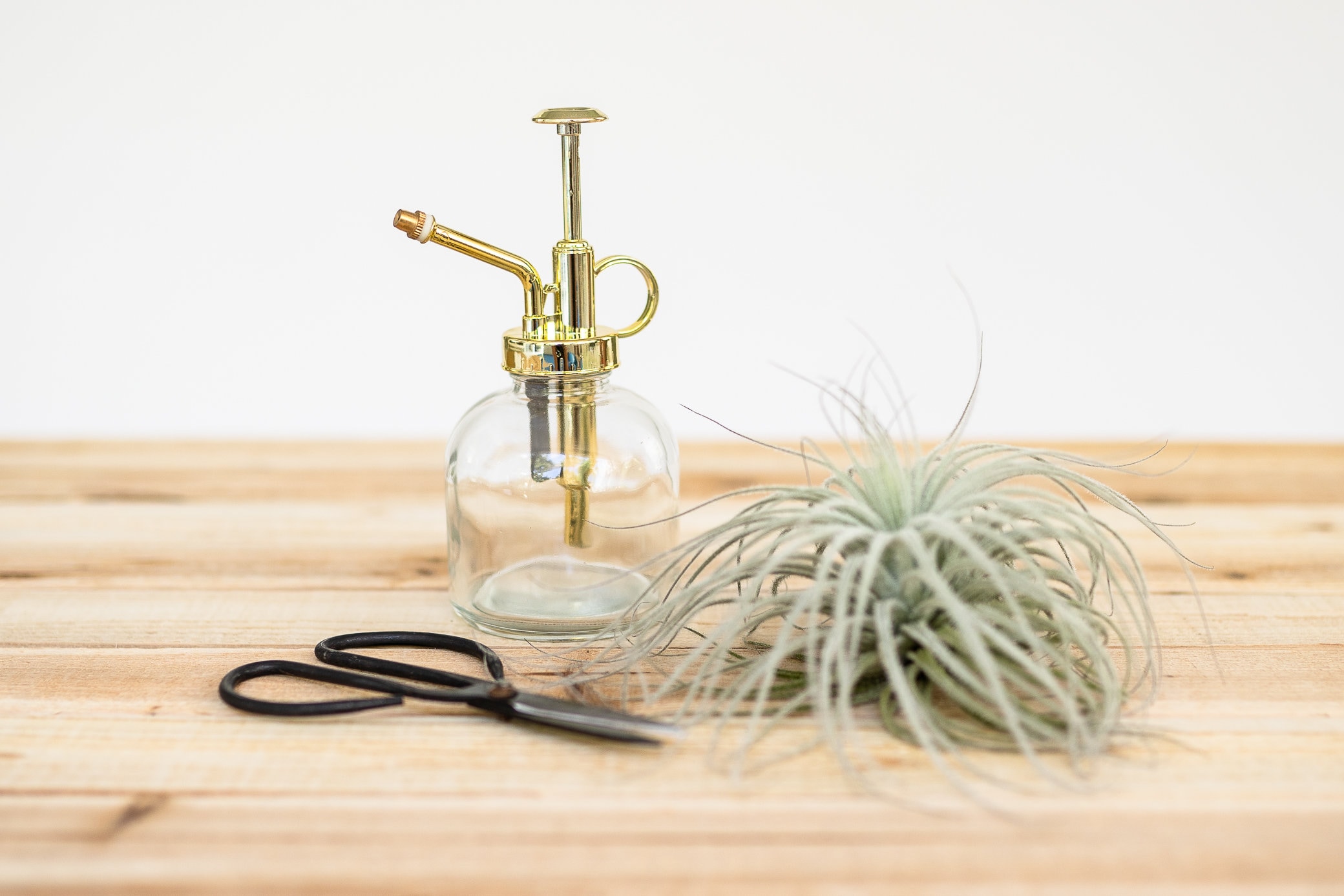 Tillandsia Air Plant Mister Air Plant Accessory Air Plant Etsy