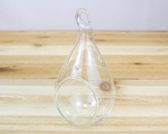 Hand Blown Glass Teardrop Terrarium - Hanging Air Plant Terrarium - FAST SHIPPING