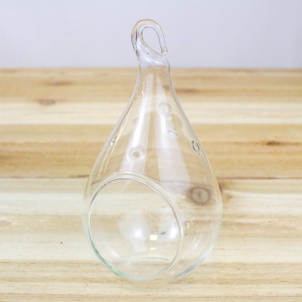 Hand Blown Glass Teardrop Terrarium - Hanging Air Plant Terrarium - FAST SHIPPING