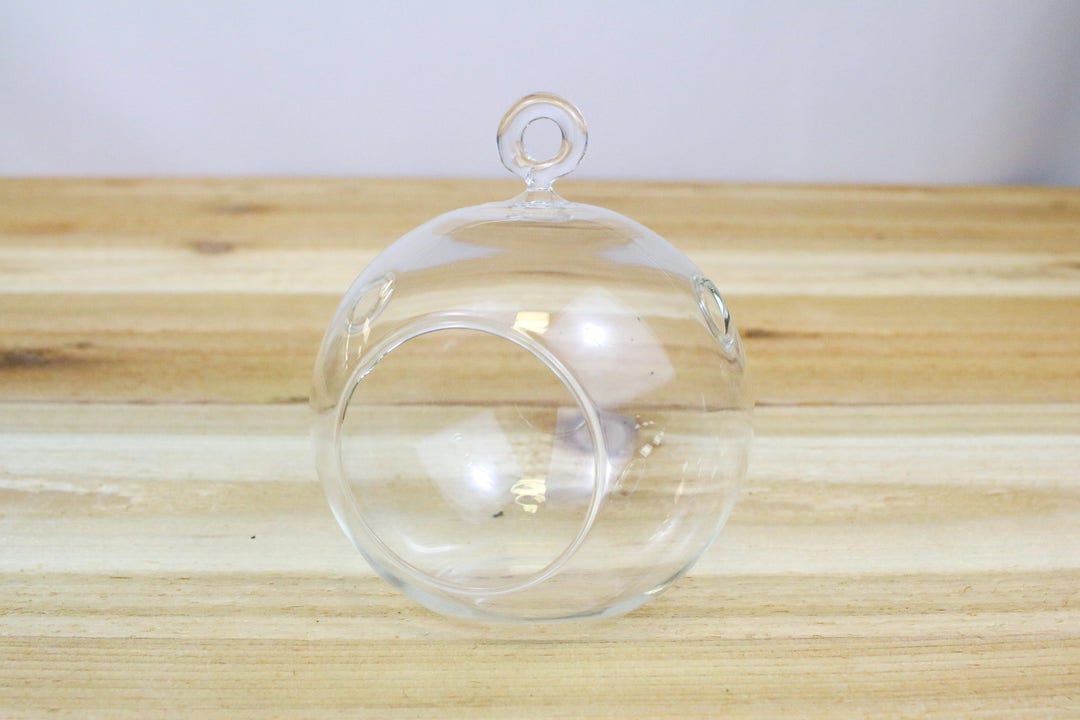 12 Pack of Hanging Glass Terrariums With Flat Bottom Hanging Air Plant