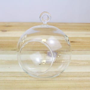 May include: A clear glass globe with a small opening at the top and a larger opening on the side. The globe is designed to hold a small plant or other decorative item.
