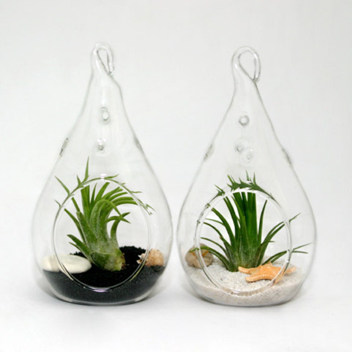12 Pack of Hand Blown Glass Teardrop Terrariums Hanging Air Etsy