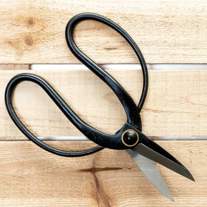 May include: Black metal pruning shears with a gold-colored screw and a wooden background.