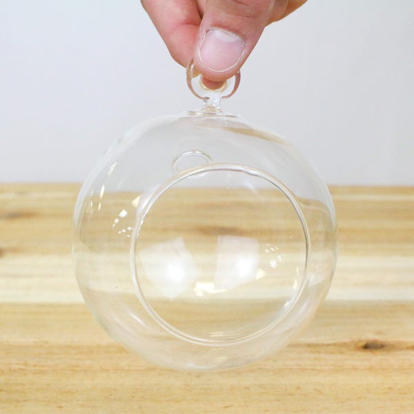 Hand Blown Glass Globe Terrarium with Round Bottom - Hanging Air Plant Terrarium - FAST SHIPPING