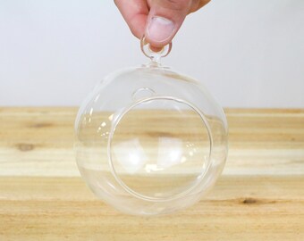 12 Pack of Glass Globe Terrariums with Round Bottom - Wholesale Price - FAST SHIPPING