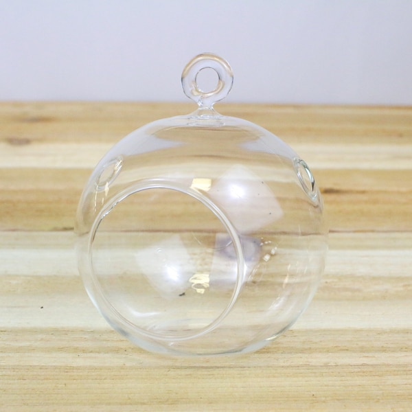 Hanging Glass Terrariums Bulk Etsy