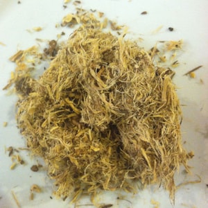 1 oz. Wild Indigo Root (Baptisia tinctoria) Wildharvested & Kosher USA