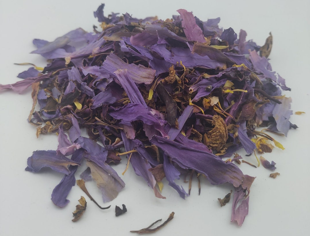 Fiore Di Lotto Blu Biologico - USA Spadito - Italia - Foto 13