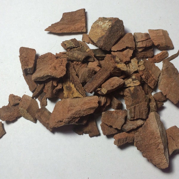 50 grams Chuchuhuasi Bark (Maytenus krukovii) Wildharvested Peru