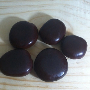 1 Seed Entada Rheedii Seeds African Dream Beans Wildharvested