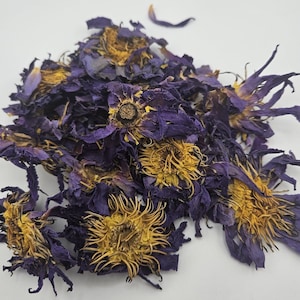 1 oz. Blue Lotus Flowers Whole Sacred Lily Nymphaea Caerulea Organic (Sri Lanka)