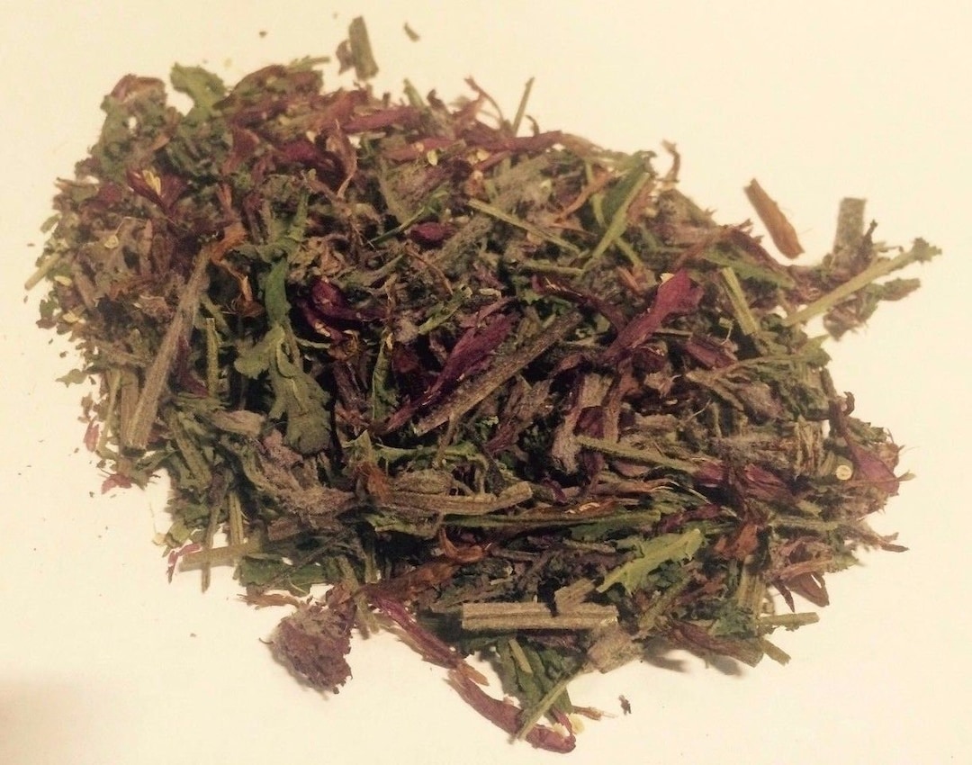 1 Oz. Indian Warrior Herb pedicularis Densiflora Wildharvested USA Etsy