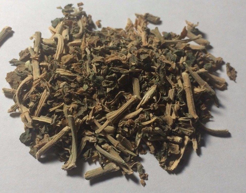 Kava Kava Seed - Etsy
