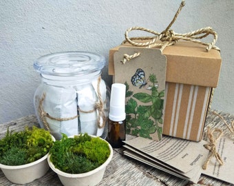 DIY Mini Mossarium Gift Box - Terrarium kit with live moss gift wrapped present