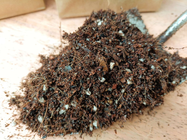 Puede incluir: Primer plano de un mont&oacute;n de tierra para macetas de color marr&oacute;n oscuro con peque&ntilde;as part&iacute;culas blancas y rojas mezcladas. La tierra est&aacute; suelta y desmenuzable, con algunas finas ra&iacute;ces marrones visibles.