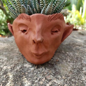 May include: A terracotta-colored ceramic planter shaped like a human face with pointed ears and etched eyebrows. The planter features a sculpted nose, closed eyes, and pursed lips, with a green succulent plant growing out of the top opening.