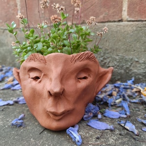 May include: A terracotta-colored face-shaped planter with a whimsical design, holding green plants with small, light-colored flowers. The planter has closed eyes and detailed facial features. The background includes a brick wall and blue petals.