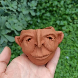 May include: A terracotta-colored, face-shaped planter with a detailed, expressive face. The planter has a wide, smiling mouth, a prominent nose, and small, detailed ears. The background is a blurred green foliage.