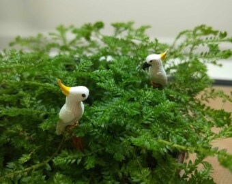 Może przedstawiać: Dwie miniaturowe figurki białych kakadu z żółtymi grzebieniami i czarnymi dziobami, siedzące w gęstej, jaskrawozielonej paproci. Małe figurki ptaków są umieszczone na różnych wysokościach pośród pierzastych liści rośliny.