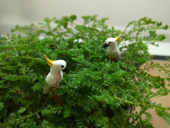 Miniature Australian cockatoo set of 2 tiny parrots - plant sticks accessories for fairy gardens, terrariums, bonsai, indoor planters