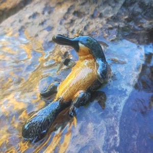 May include: A ceramic figurine of a platypus, painted in shades of black, brown, and yellow, with a textured surface. The platypus is positioned on its back, with its legs and tail visible. The figurine is in a shallow pool of water, with the reflection of the platypus visible in the water.