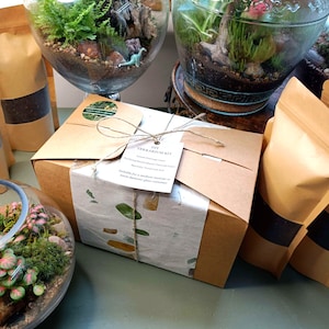 Puede incluir: Un kit de terrario DIY con embalaje de papel marr&oacute;n, un frasco de vidrio con un terrario en su interior y varias bolsas de papel marr&oacute;n con diferentes contenidos. El kit incluye todo lo necesario para crear un peque&ntilde;o jard&iacute;n de interior.