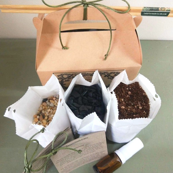 DIY Terrarium Starter Kit - indoor gardener gift hamper pack with materials, instructions and guide, fun gardening craft activity