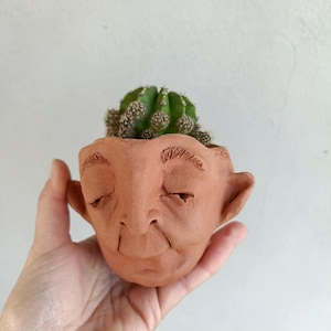 May include: A terracotta-coloured ceramic planter shaped like a human head with closed eyes, prominent ears, and etched eyebrows. The top of the head is open, containing a small, round, green cactus with numerous tiny spines protruding from the surface.