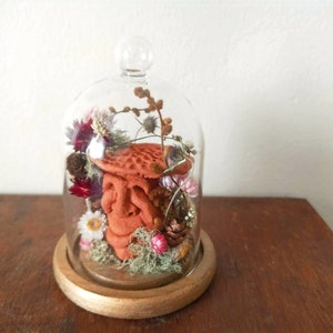 Mushroom Terrarium Jar, Mushroom Ornament Christmas, Fairy