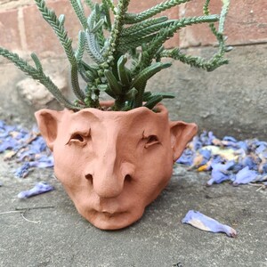 May include: A terracotta-coloured, face-shaped planter pot with a succulent plant. The pot has a detailed face with eyes, a nose, and ears. The plant has green, textured leaves. The background includes a brick wall and scattered blue petals.