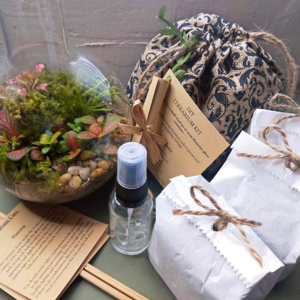 Terrarium Kit Etsy Australia