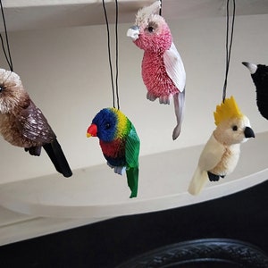 Australian Native bird hanging ornament