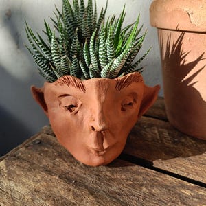 May include: A terracotta face-shaped plant pot filled with a zebra plant. The pot has detailed facial features, including eyes, a nose, and a mouth. The zebra plant has green and white striped leaves. Another terracotta pot is in the background.