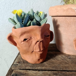 May include: A terracotta-coloured, face-shaped planter pot with a succulent plant and yellow flowers. The pot has a sculpted face with closed eyes, a nose, and ears. Another terracotta pot is in the background.
