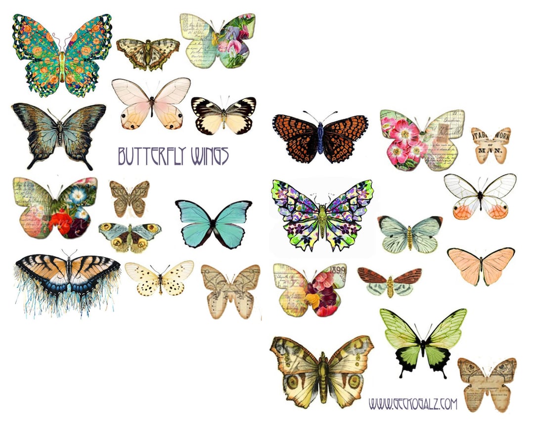 Butterfly Wings Digital Collage Set - Etsy