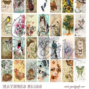 Natures Bliss Domino Collage Sheet