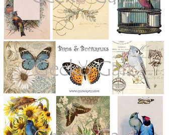Hoja de collage digital de mariposas y pájaros
