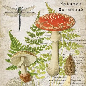 Natures Notebook Junk Journal Kit