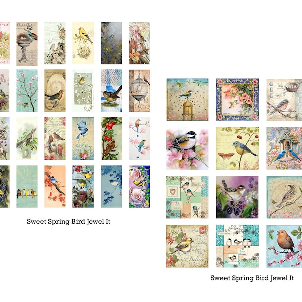 Sweet Spring Birds Jewel It Collection