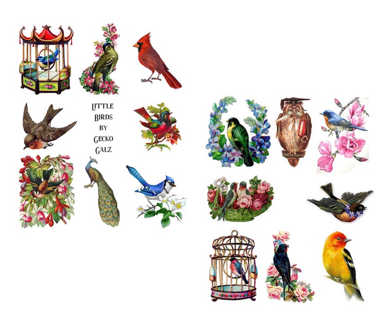 Little Birds Digital Collage Set image 1
