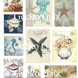 Sea Life Digital Collage Sheet